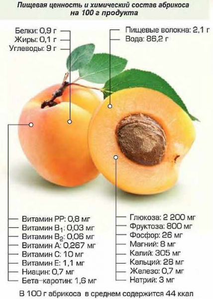 В чём польза абрикосов